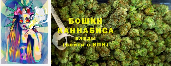 ешки Горняк