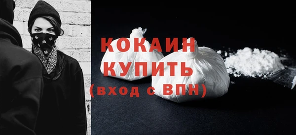 ешки Горняк