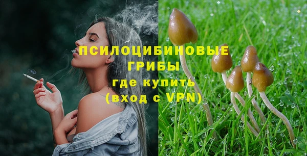 ешки Горняк