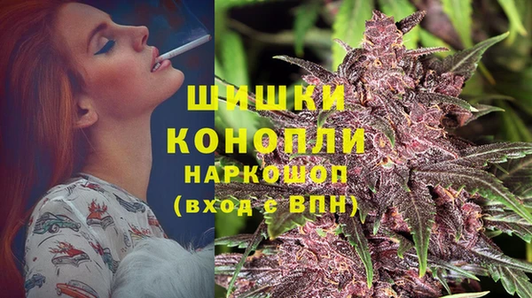 ешки Горняк