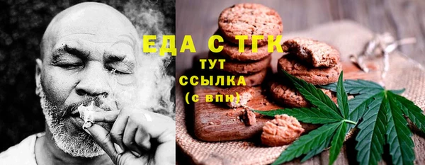 ешки Горняк