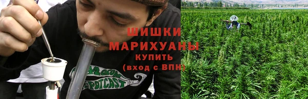 ешки Горняк