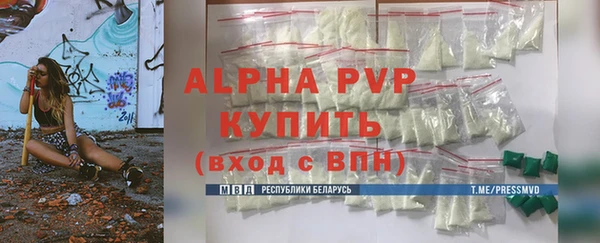 ешки Горняк