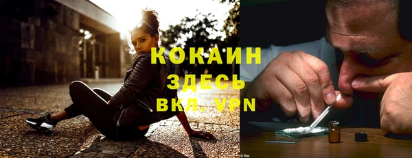 ешки Горняк