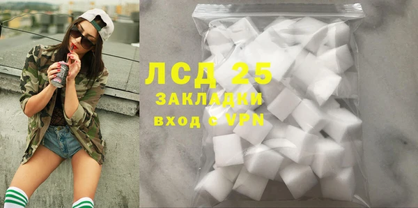 ешки Горняк
