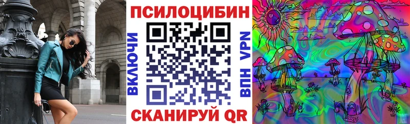 Псилоцибиновые грибы Psilocybine cubensis  Купить закладки  Тайга 